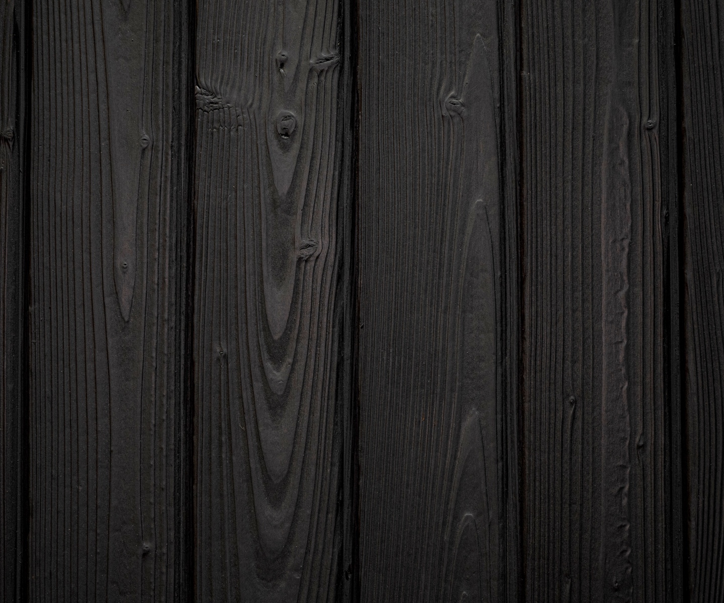 bois-brule-douglas-noirdelune-2