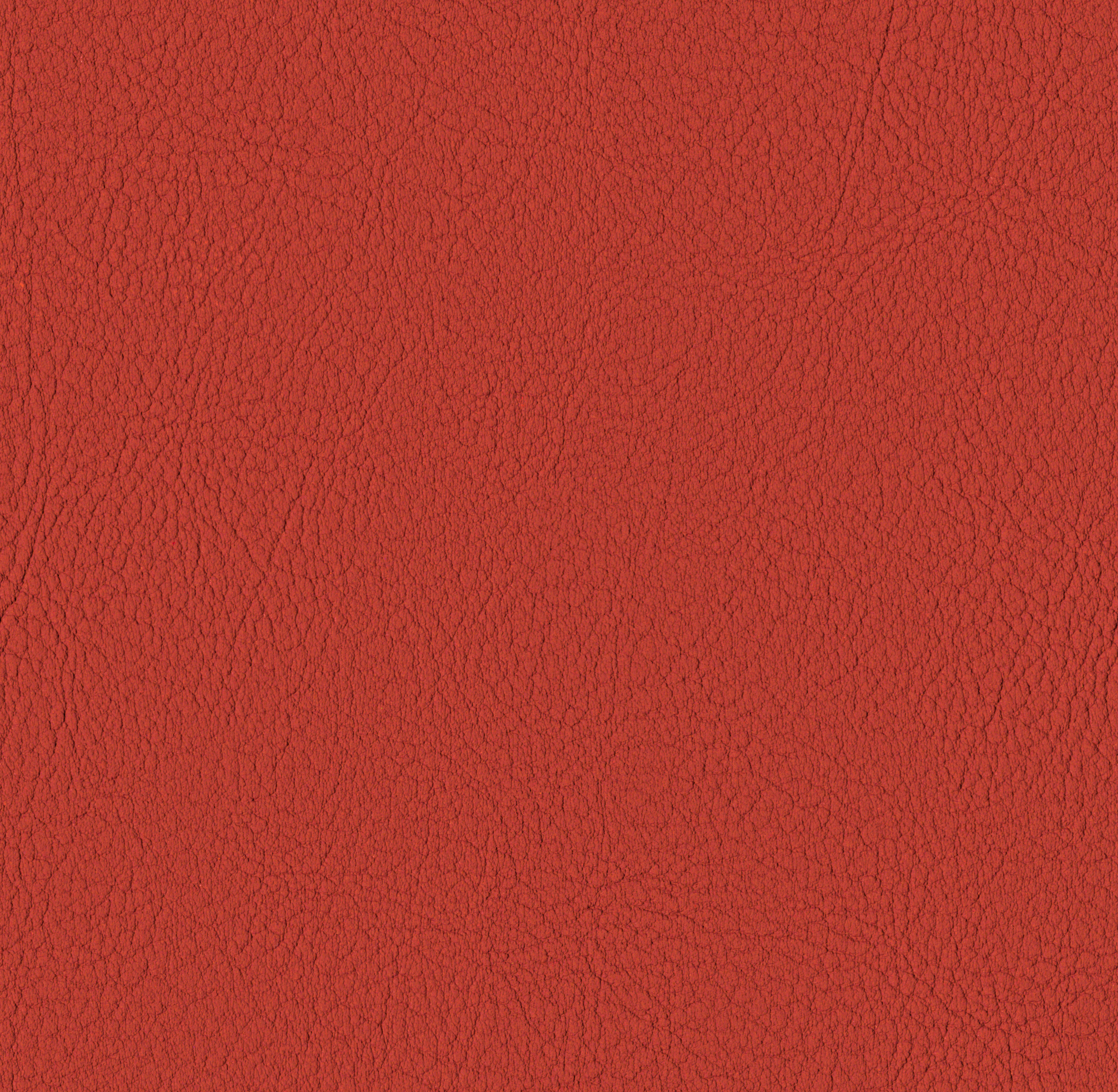 Tileable image - Tomato