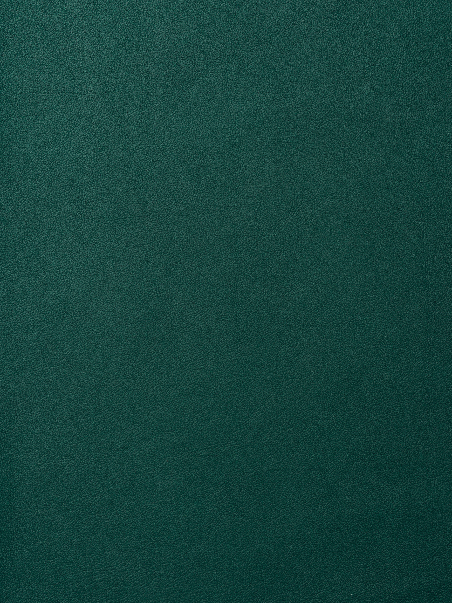 ELMOLEATHER_ELMOSOFT_78038