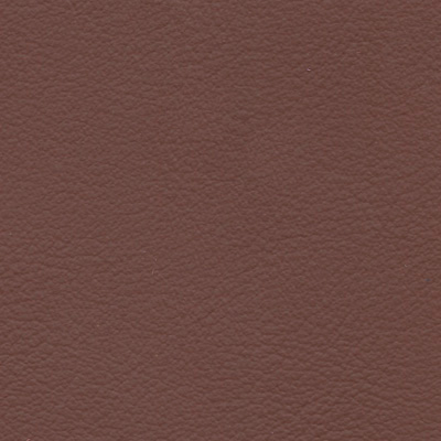 vaugirard-chataigne-s