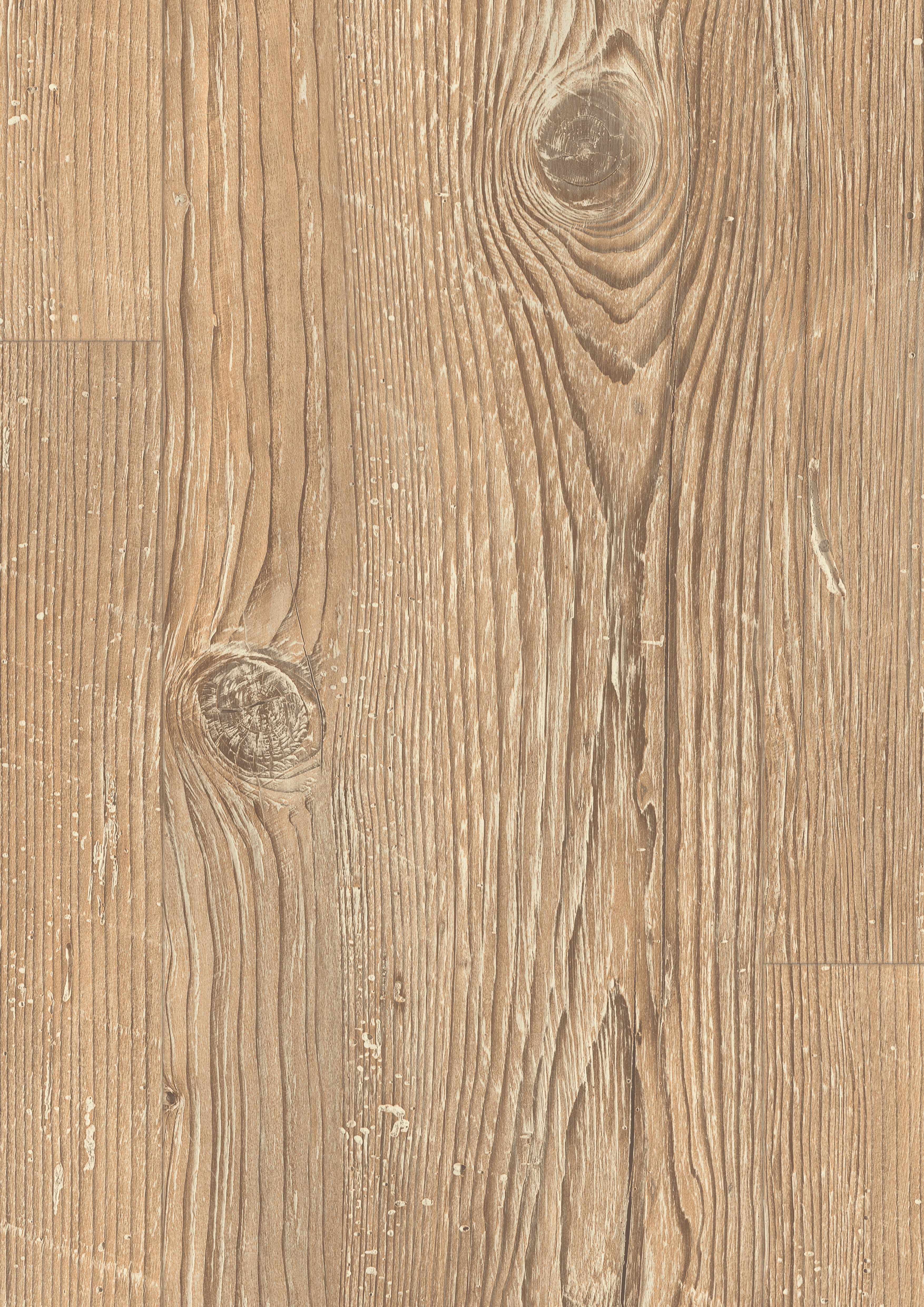 EDF201_STD8_classic_wv4_detail_10DE_flo