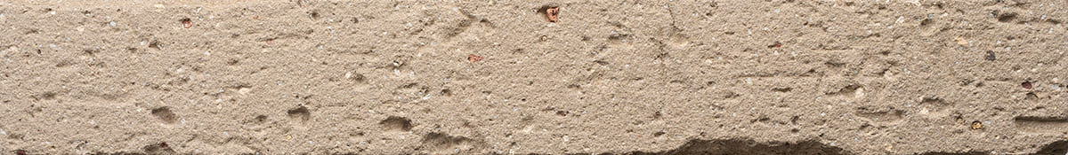 TCN_GRENAILLEE_Silver