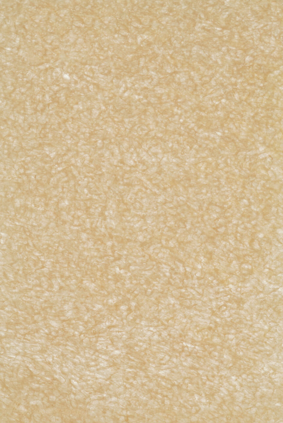 tr-glitter-gold-01-scaled-e1726752843203