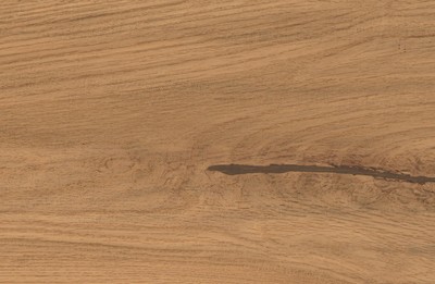 AtlasConcorde_LOG_AmberOakForest_Macro