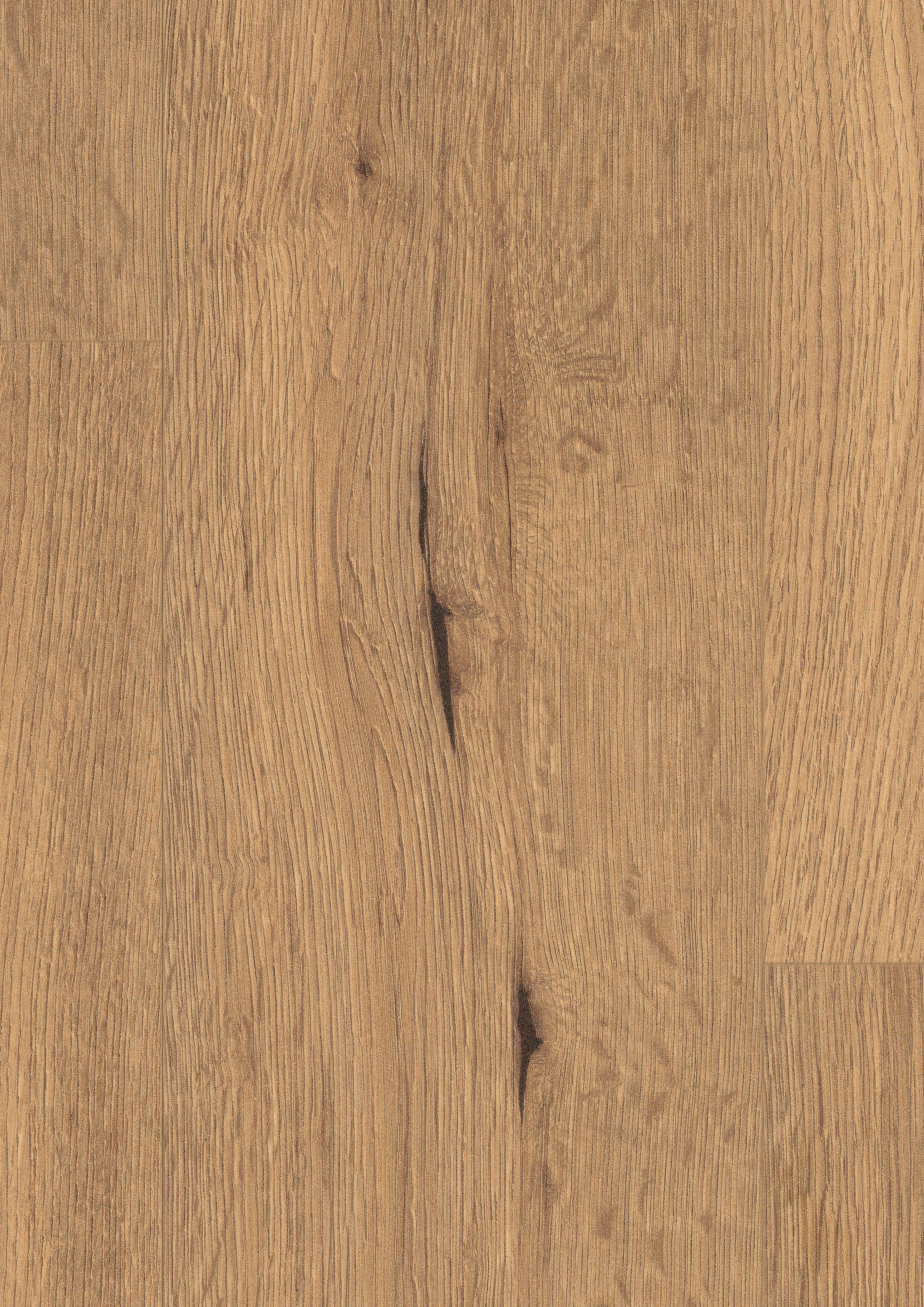 EDF200_STD8_classic_wv4_detail_10DE_flo