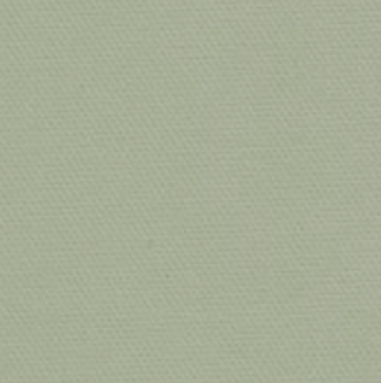 Clipso™ So Acoustic 495 AC - 4071 Vert Argile