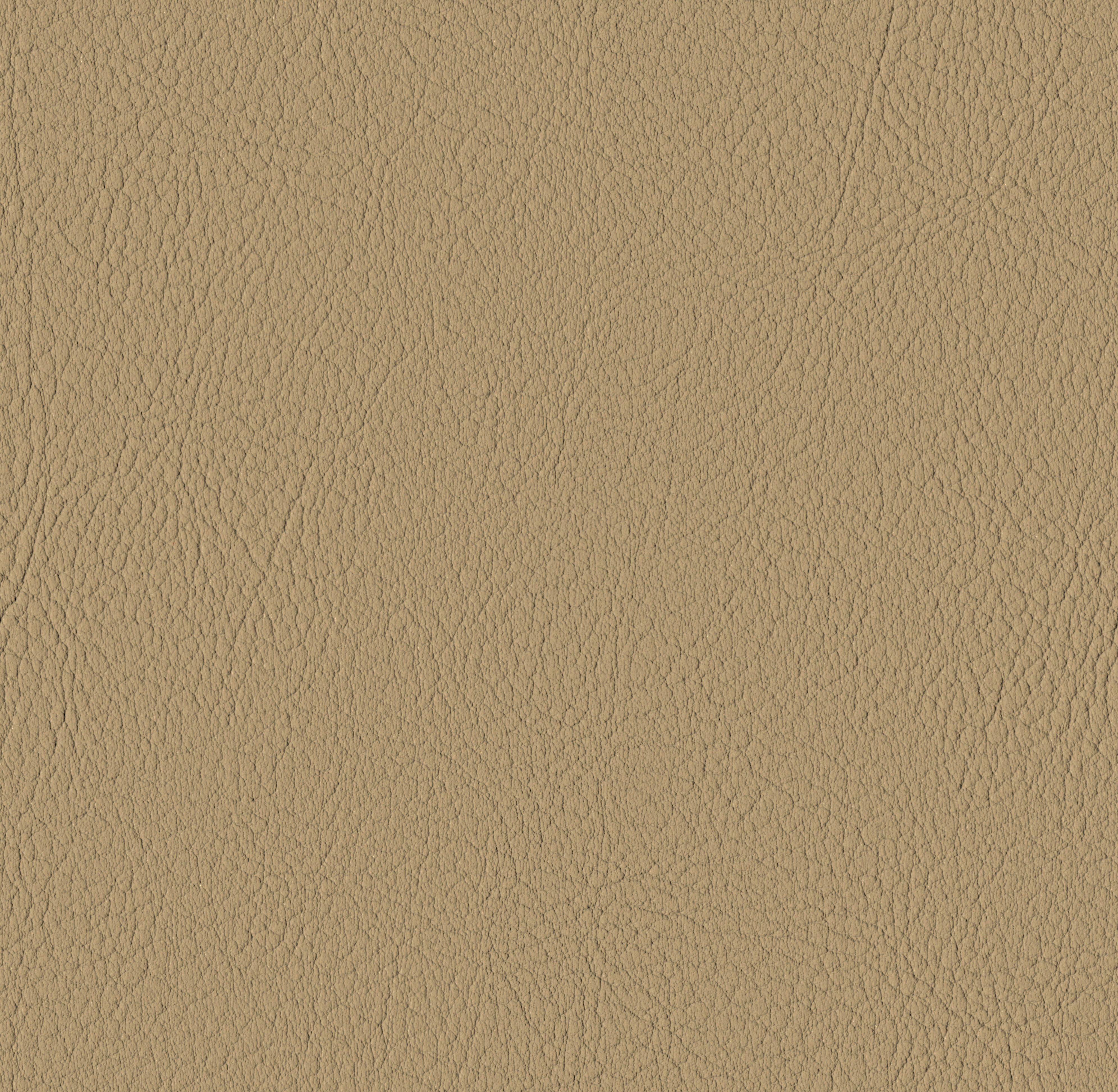 Tileable image - Champagne