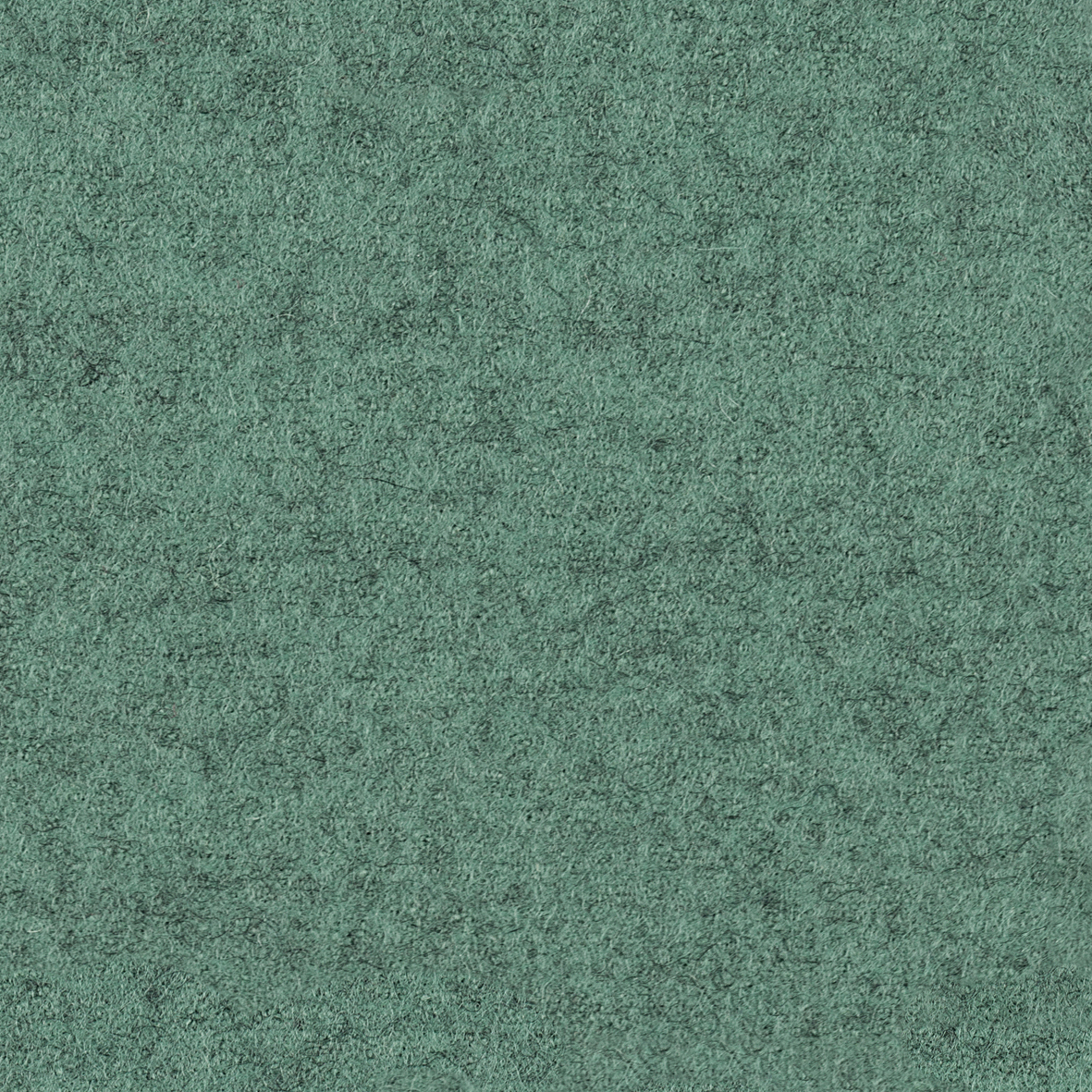 focus_melange_screen_68465