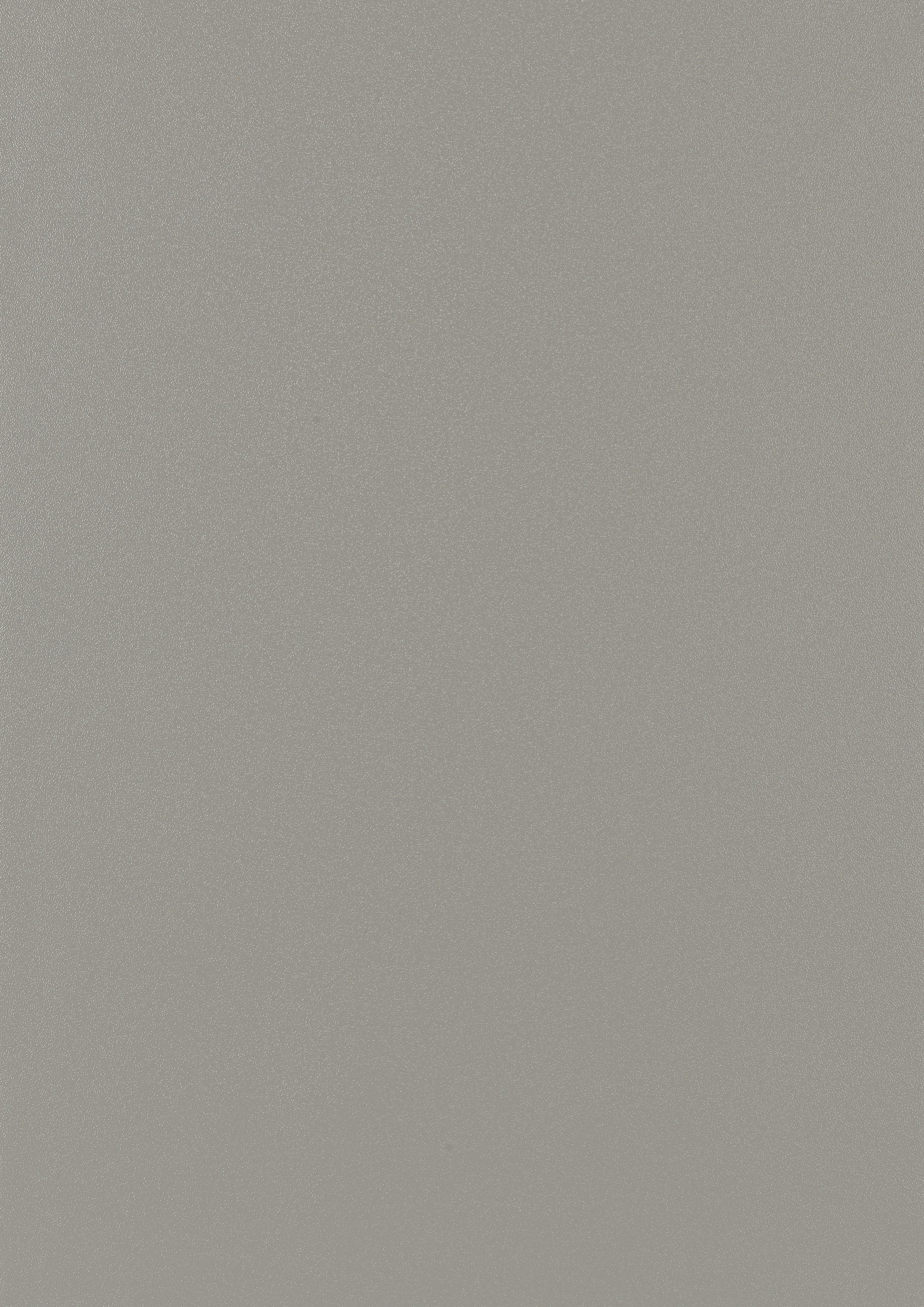 Gris Sécurité RAL 7004 (Lisse)