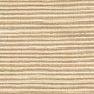 Boutique_Agave_90534_Packshot_Web_LR-thumb-square