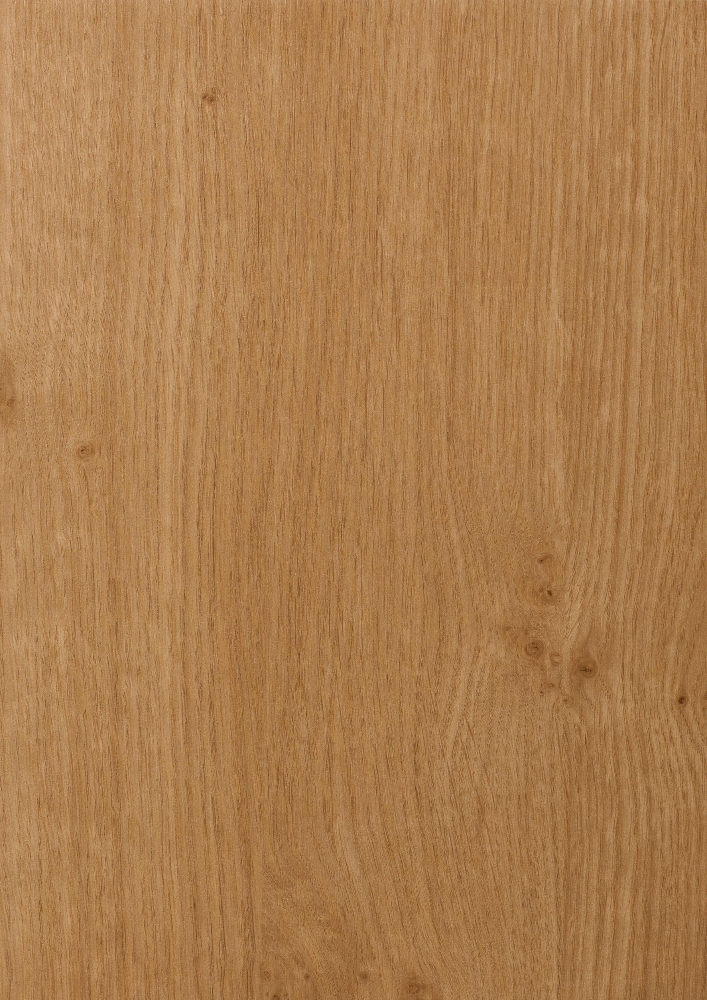 Chêne Irlandais (Bois naturel)