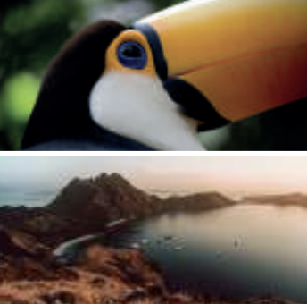 Capture d’écran 2025-08-29 à 09.39.27