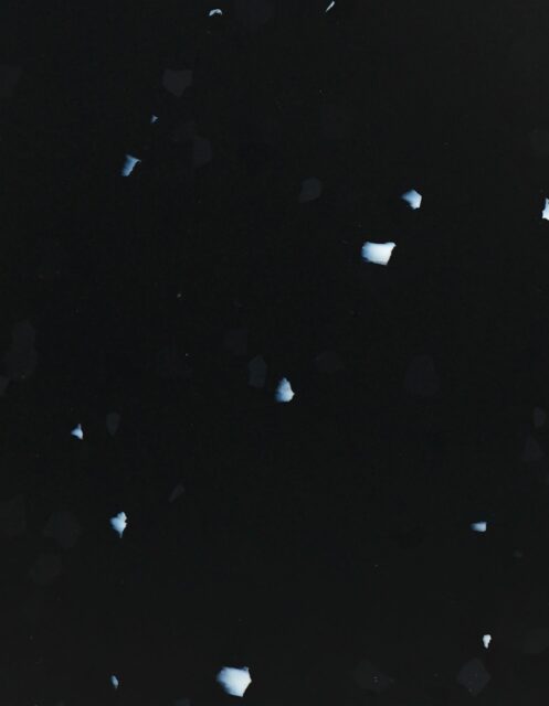 Fleur de Nuit
#PS2009