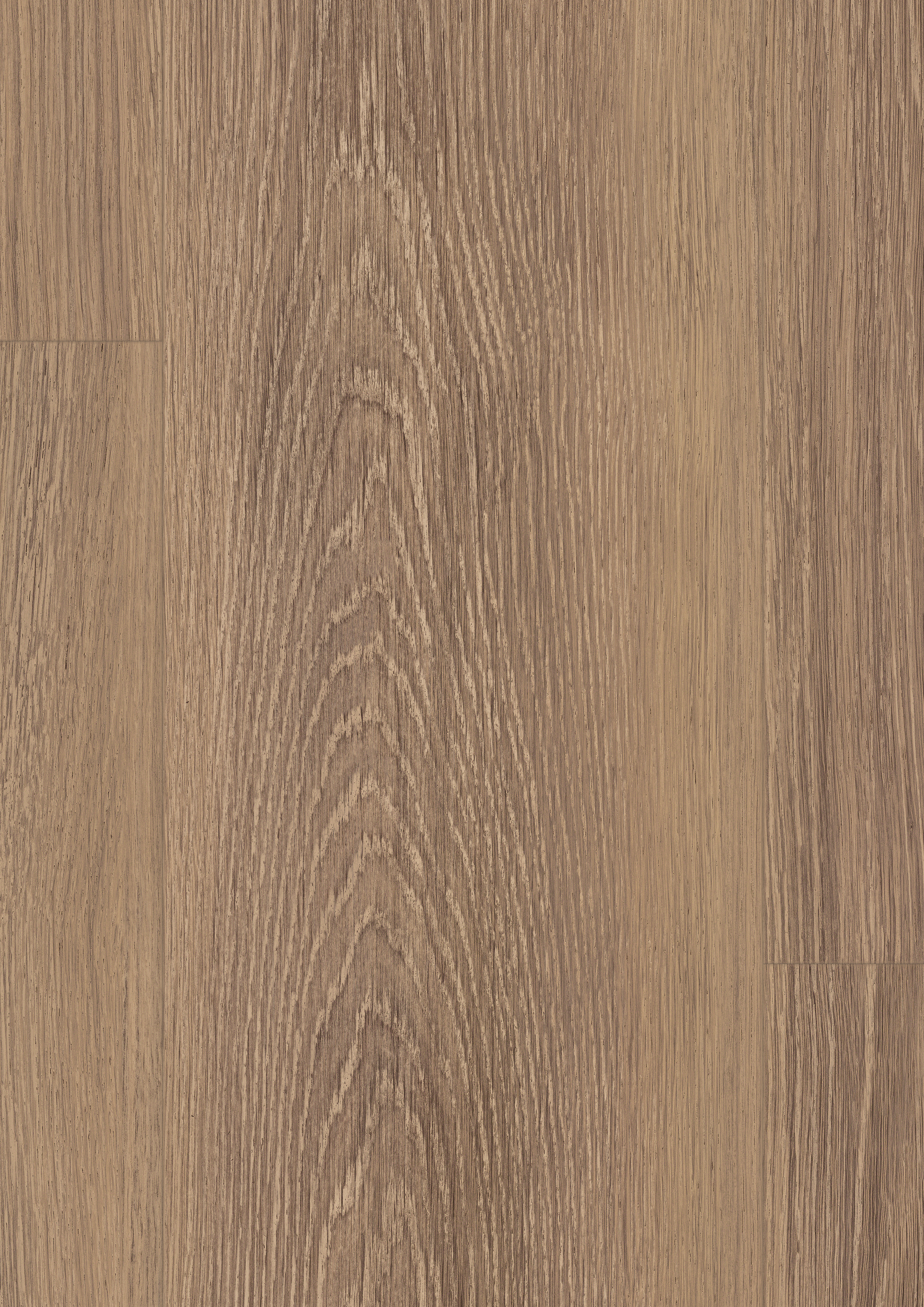 EDF197_STD8_classic_wv4_detail_10DE_flo