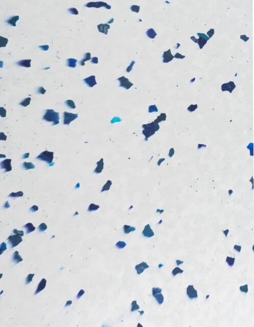 Timeless Duo Blue
#PS1802