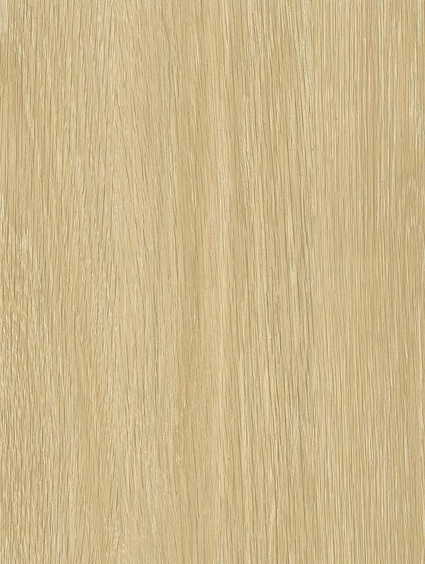NF30 - Fawn Oak