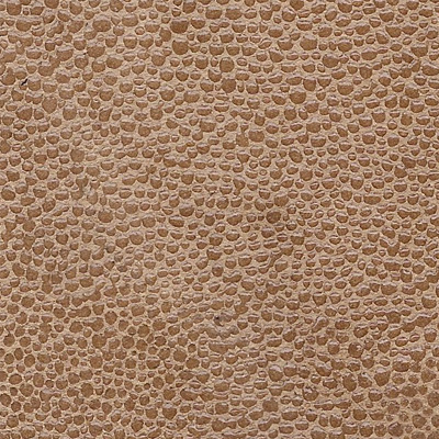 madeleine-noisette-s-1