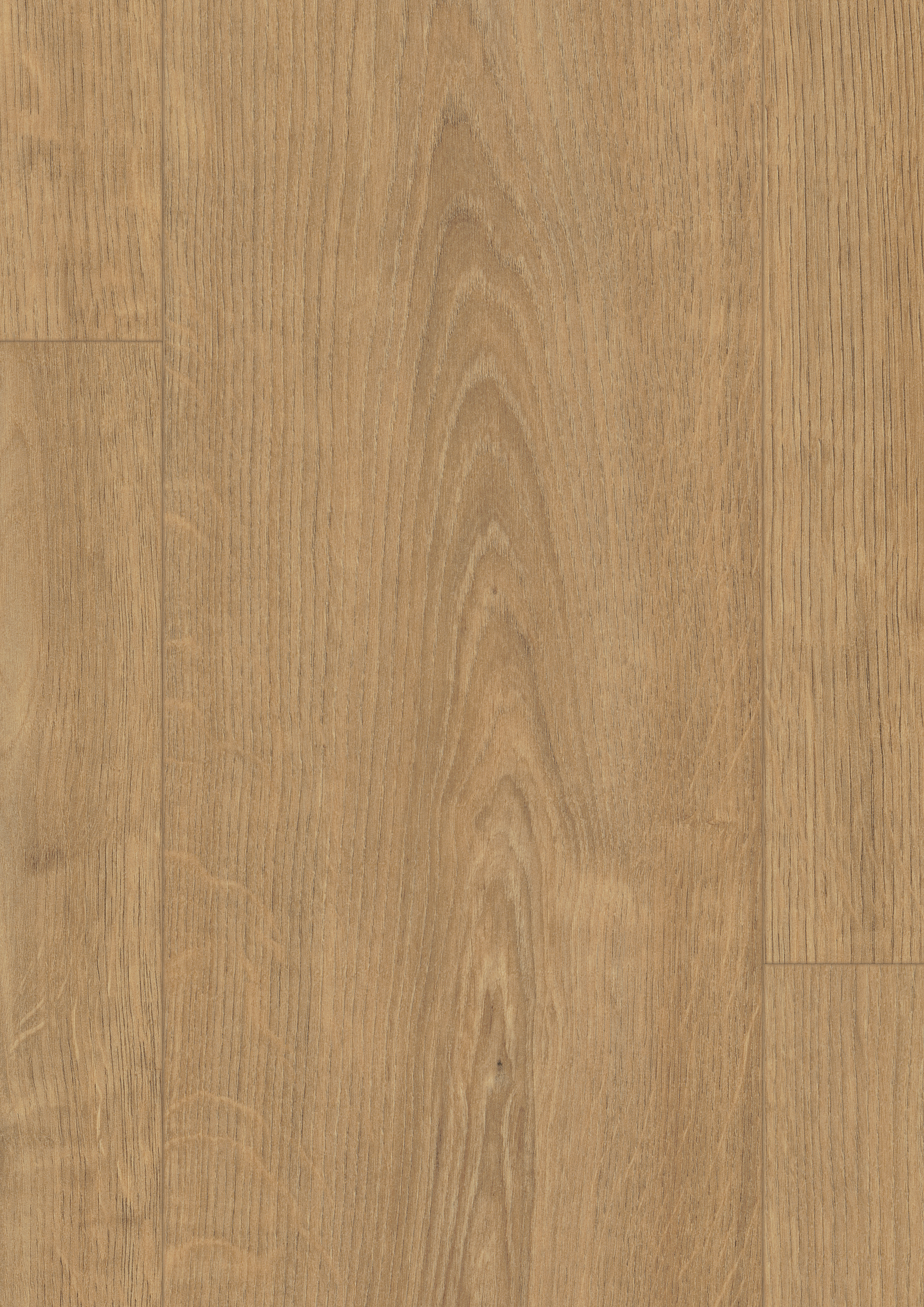 EDF180_STD8_classic_wv4_detail_10DE_flo