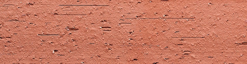 TCN_ARRACHEE_106-Montvaloir