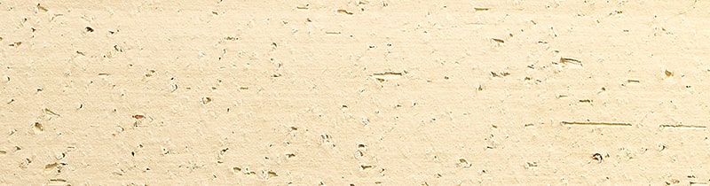 TCN_ARRACHEE_101-Antares