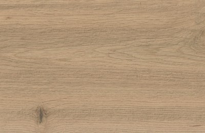 AtlasConcorde_LOG_MoonOak_Macro