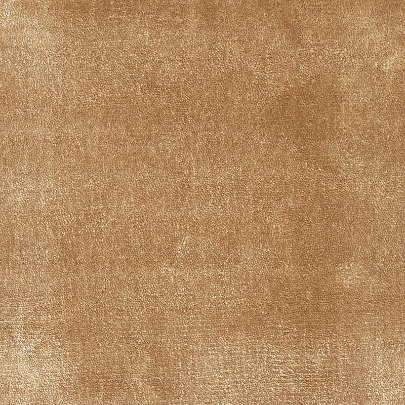 Kheri-Camel-by-Jacaranda-PR1