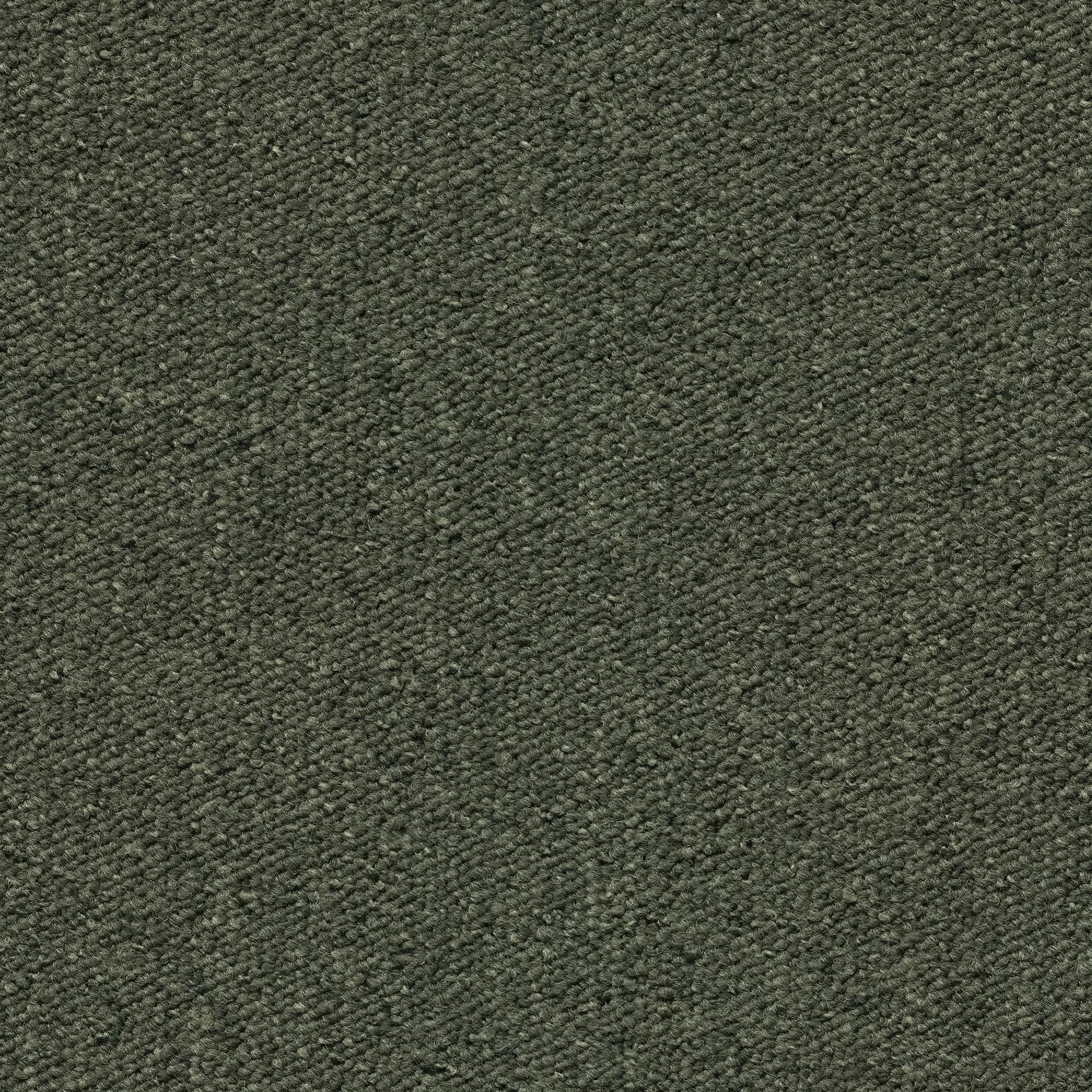 092334048 - Dusty Green