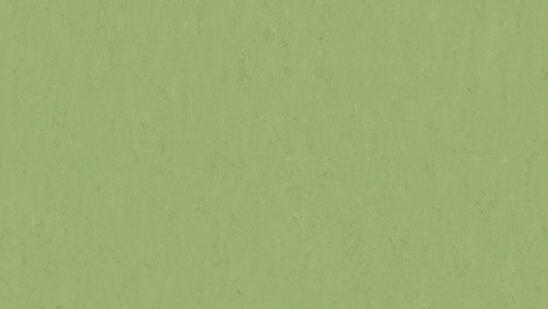 Veneto APPLE GREEN 754