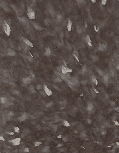 Espresso Noir
#PS2114