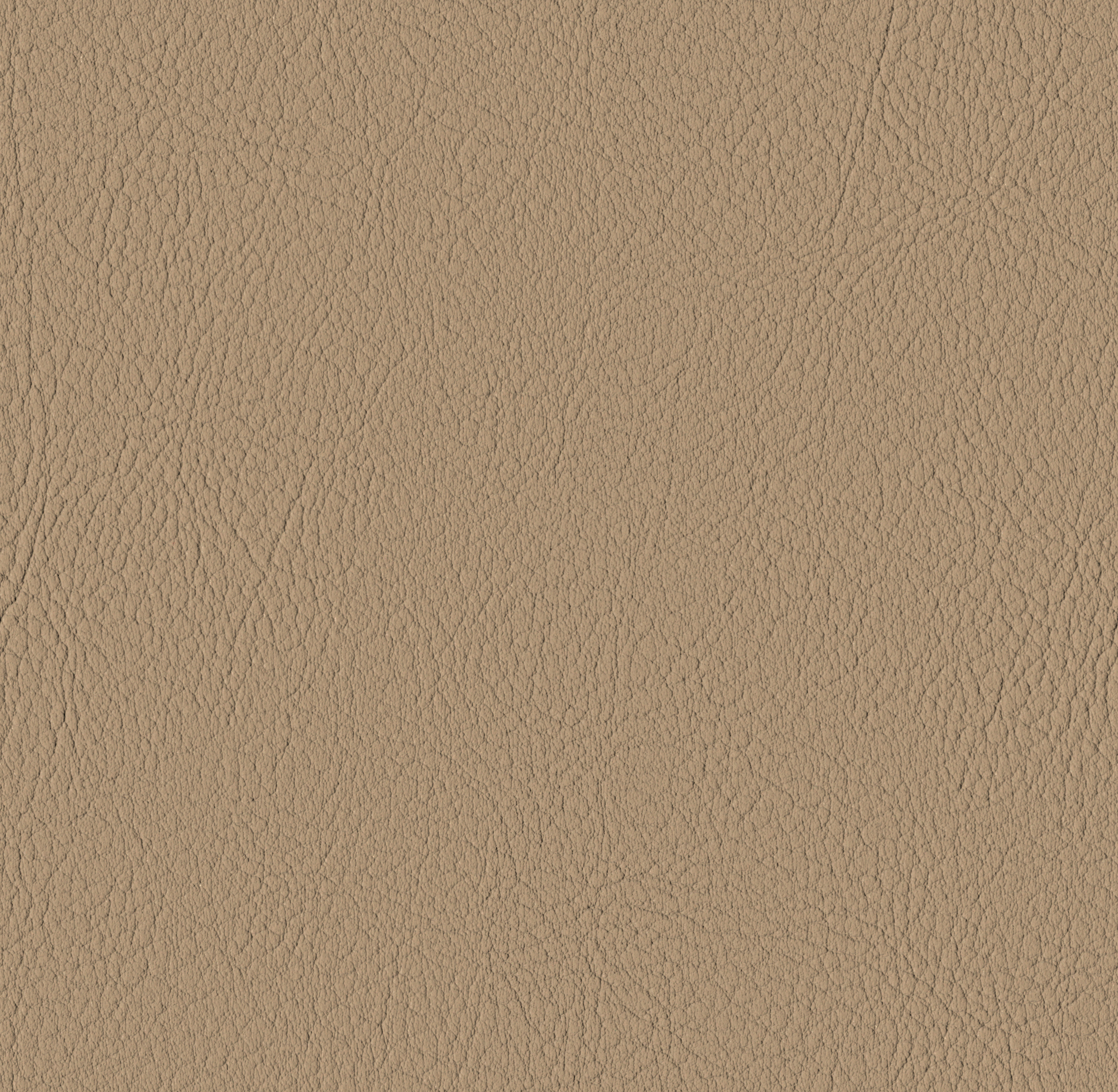 Tileable image - Beige
