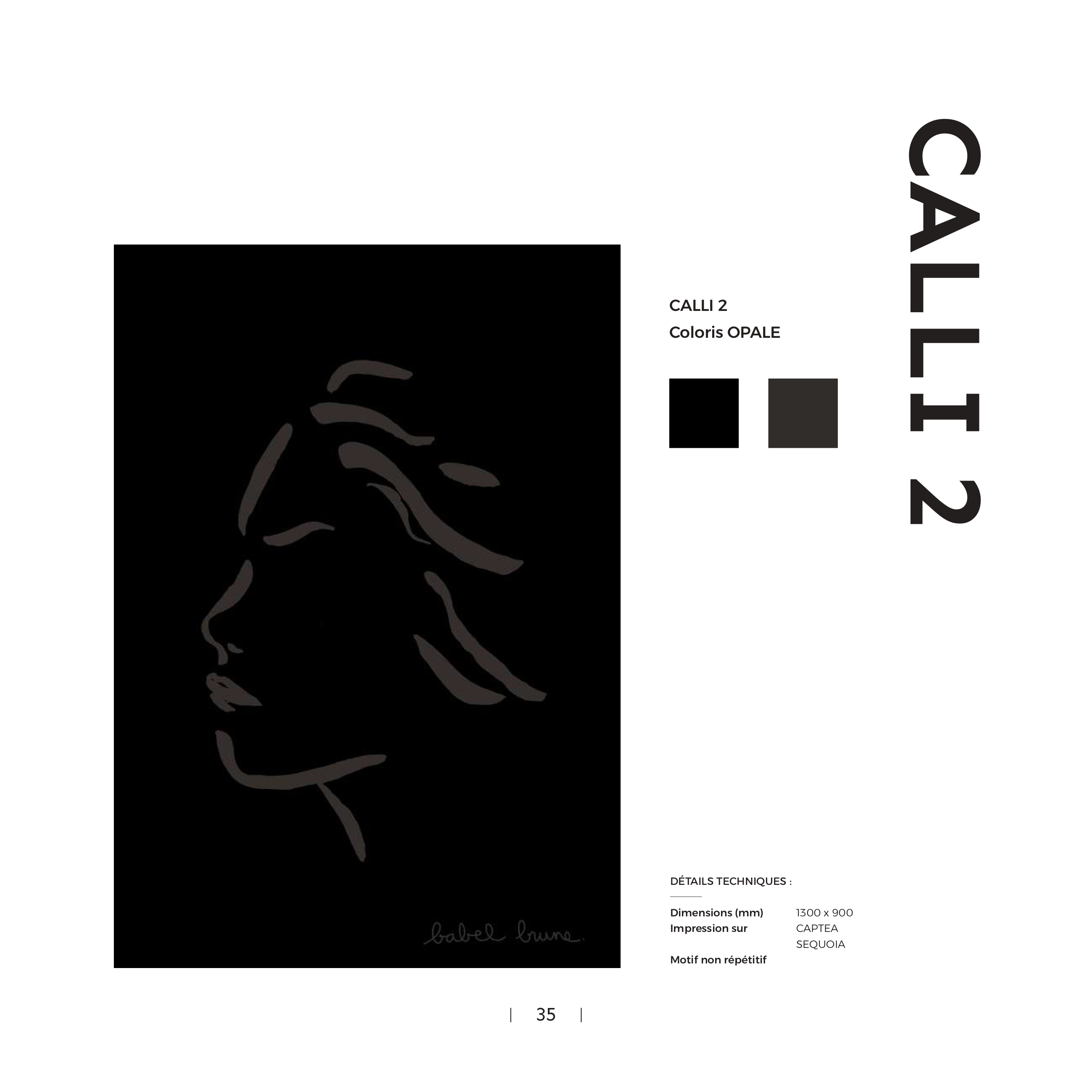 BABEL BRUNE - L'acoustique artistique_page-0035