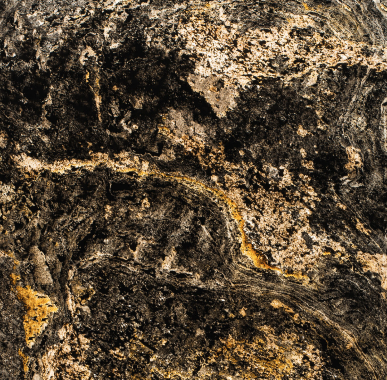 ARDOISE-MOSCOU TRANS.