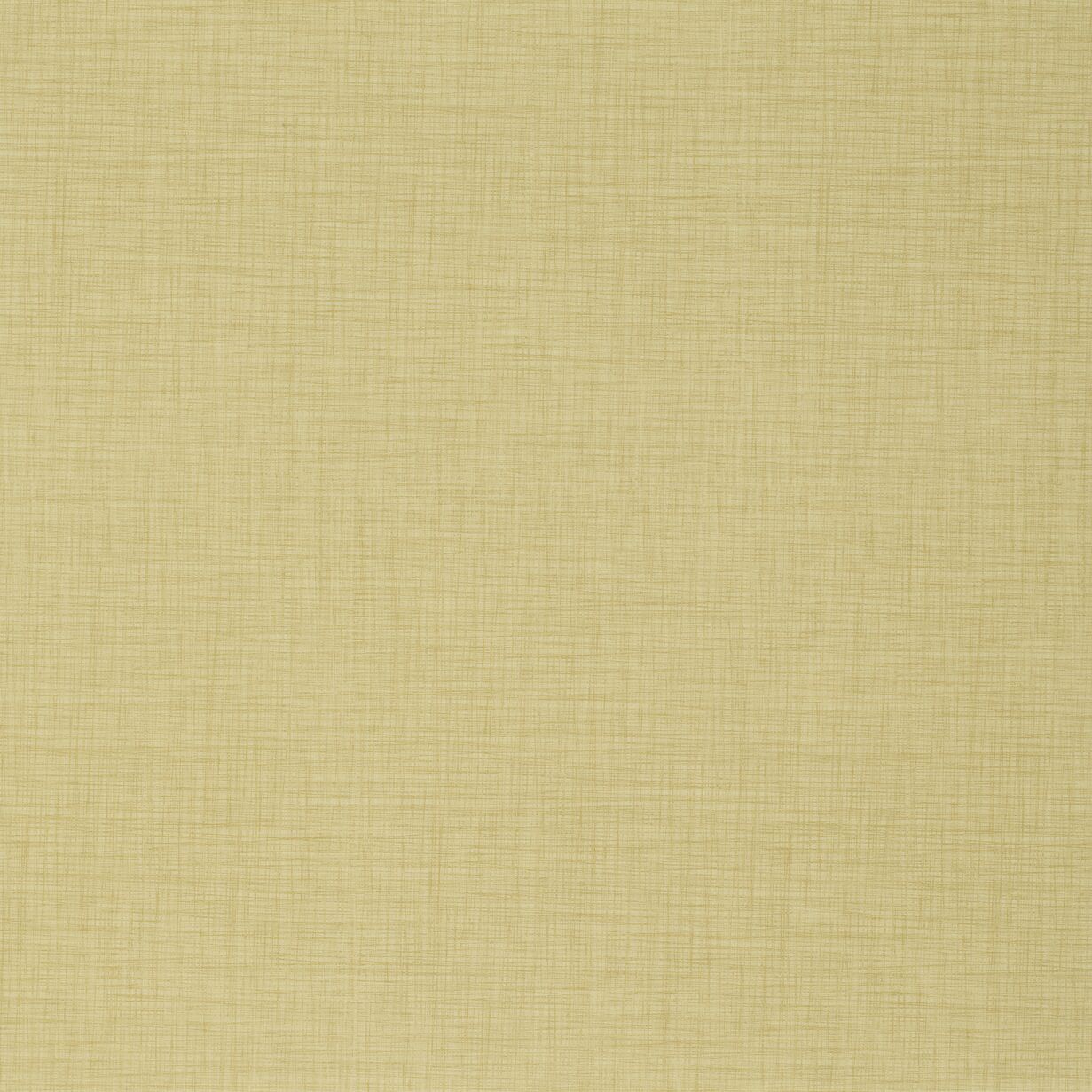 JPG 72 dpi-Taralay Impression 1065 Finesse Paille