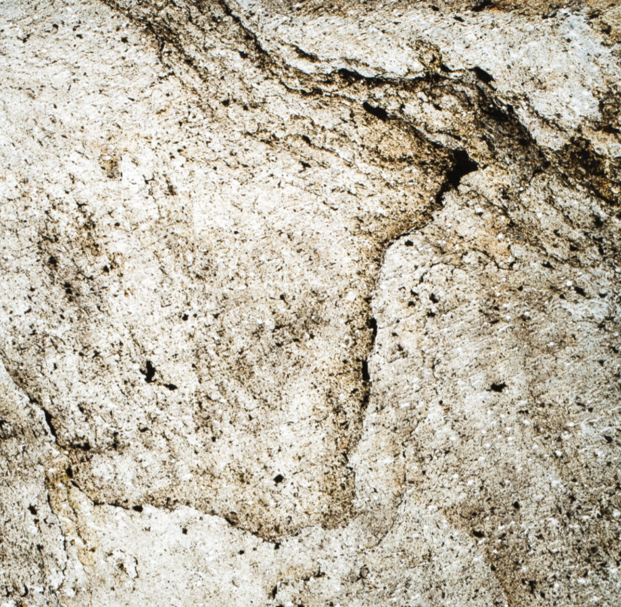 MICA-AMSTERDAM TRANS.