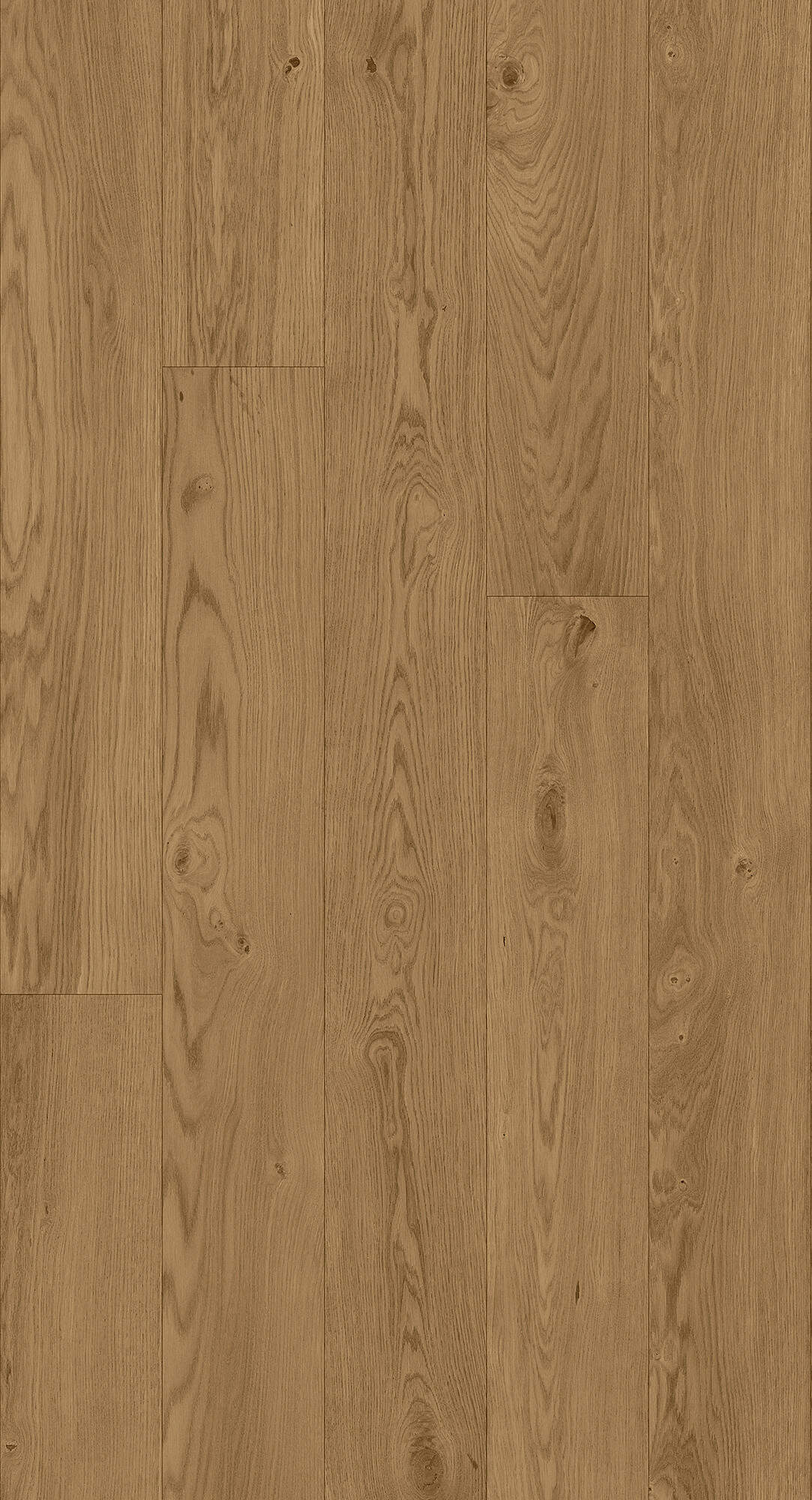 cabbani-cda-blake-hr_1742814366