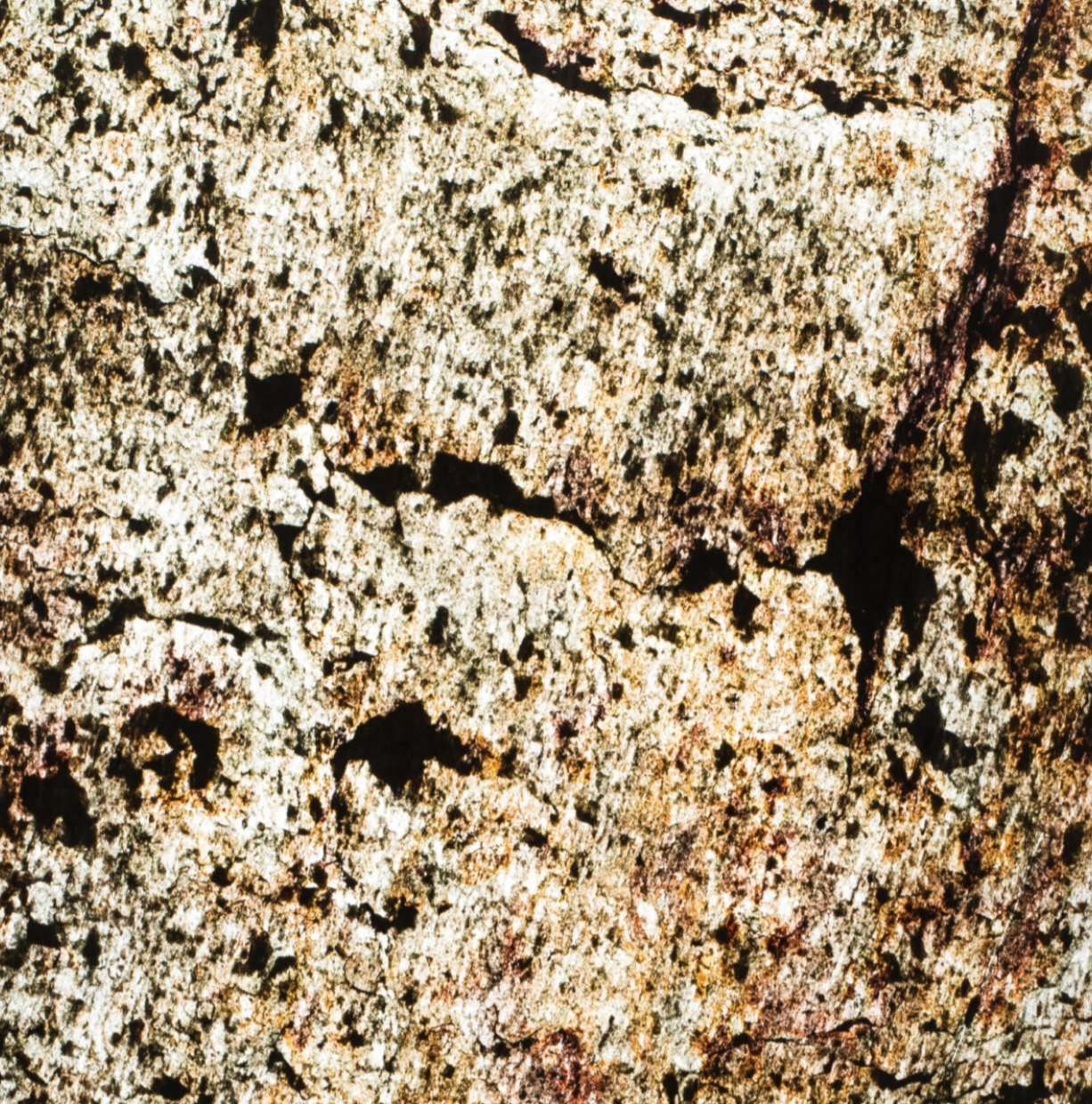 MICA-KUALA LUMPUR TRANS.