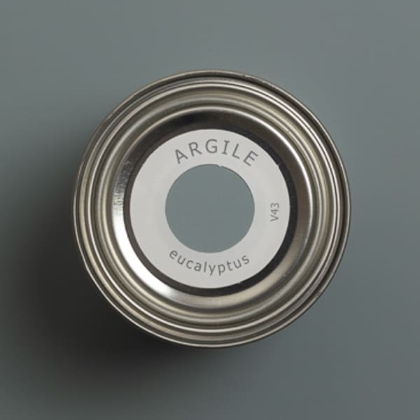 argile_peinture-tmvv43-teinte-eucalyptus-600_600