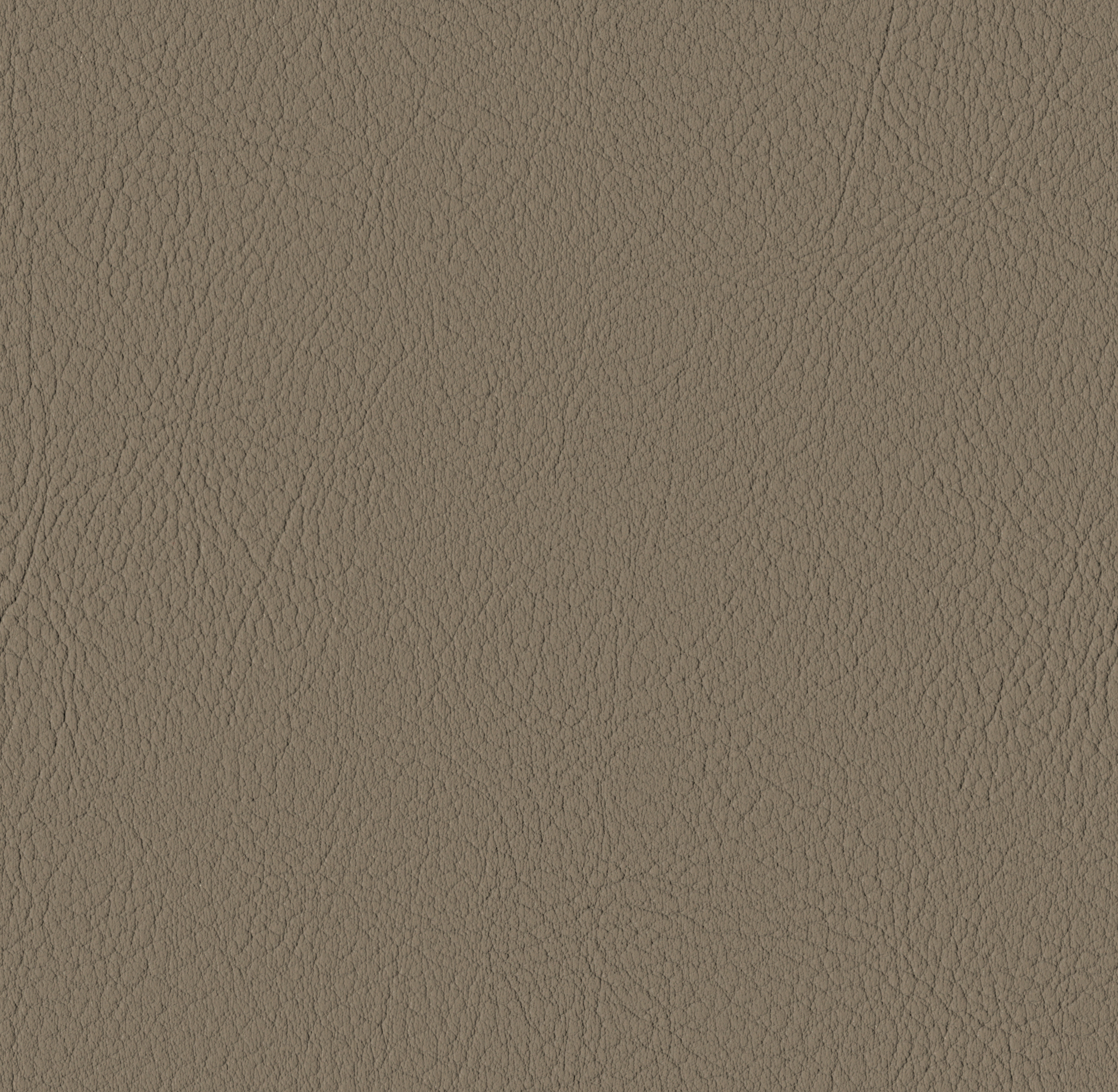 Tileable image - Mushroom