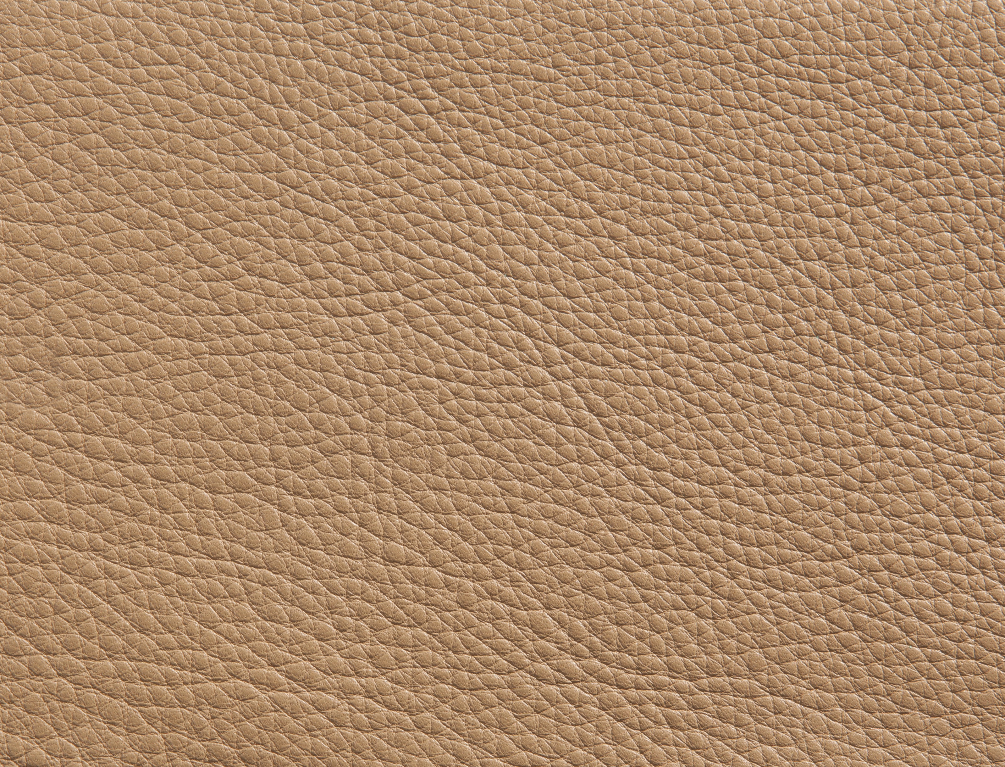 ElmorusticalVIII_43632