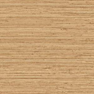 Pampas_Matiz_73525_Packshot_Web_LR-thumb-square