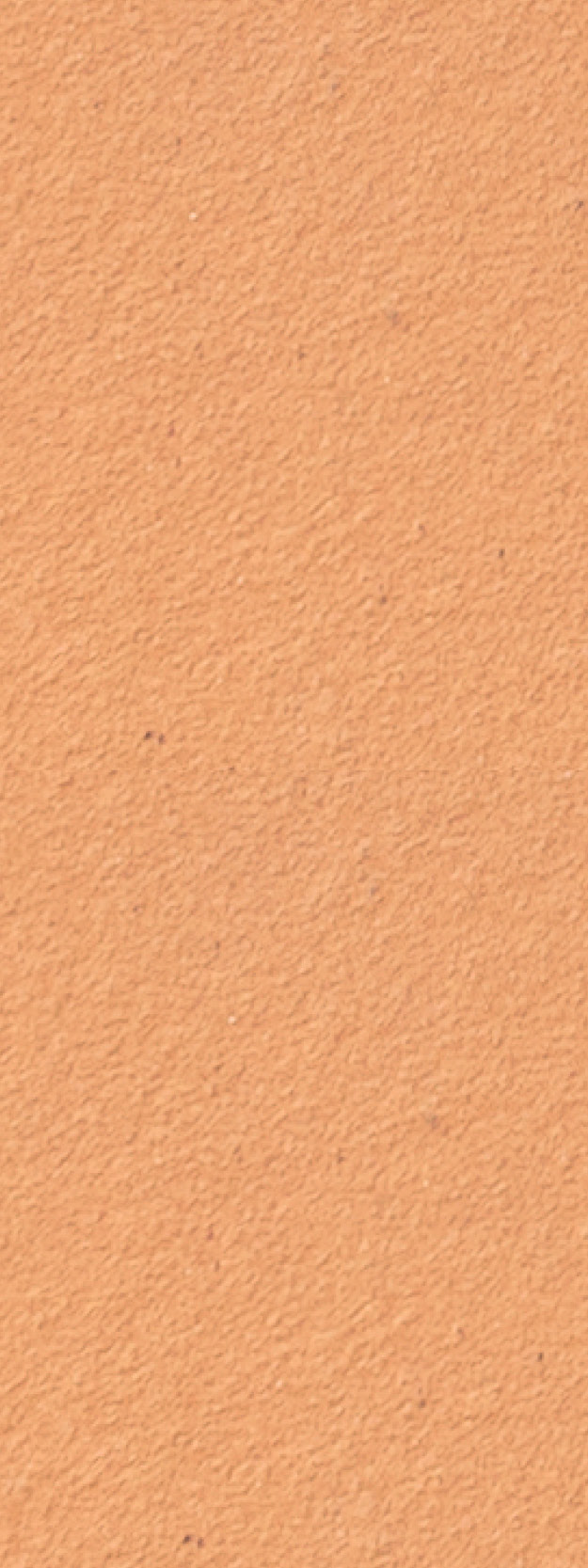 Alphaton_Lachs_salmon_gross