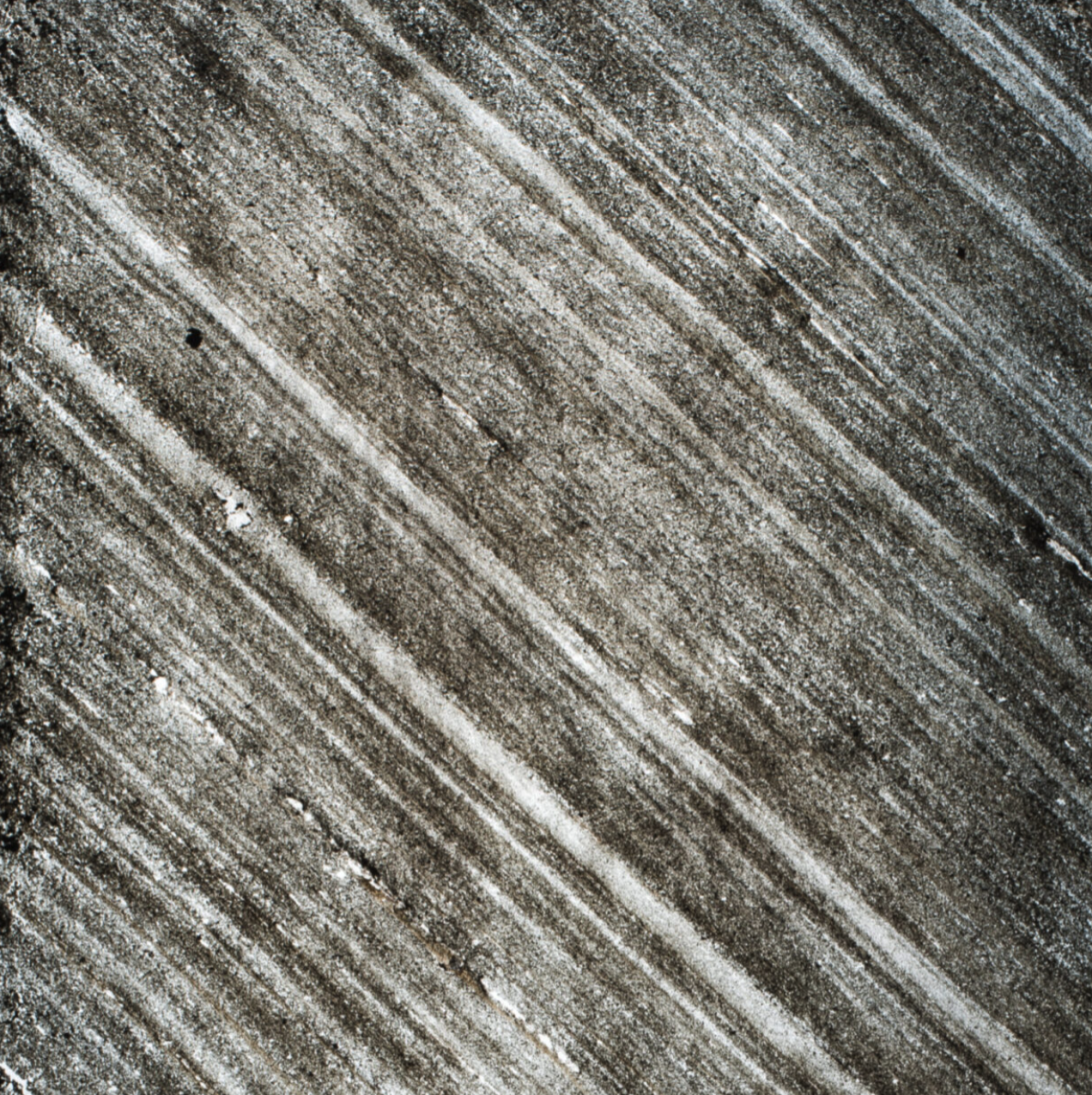 MICA-NEW YORK TRANS.