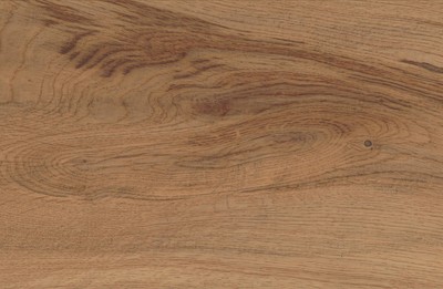 AtlasConcorde_LOG_DeepOakForest_Macro