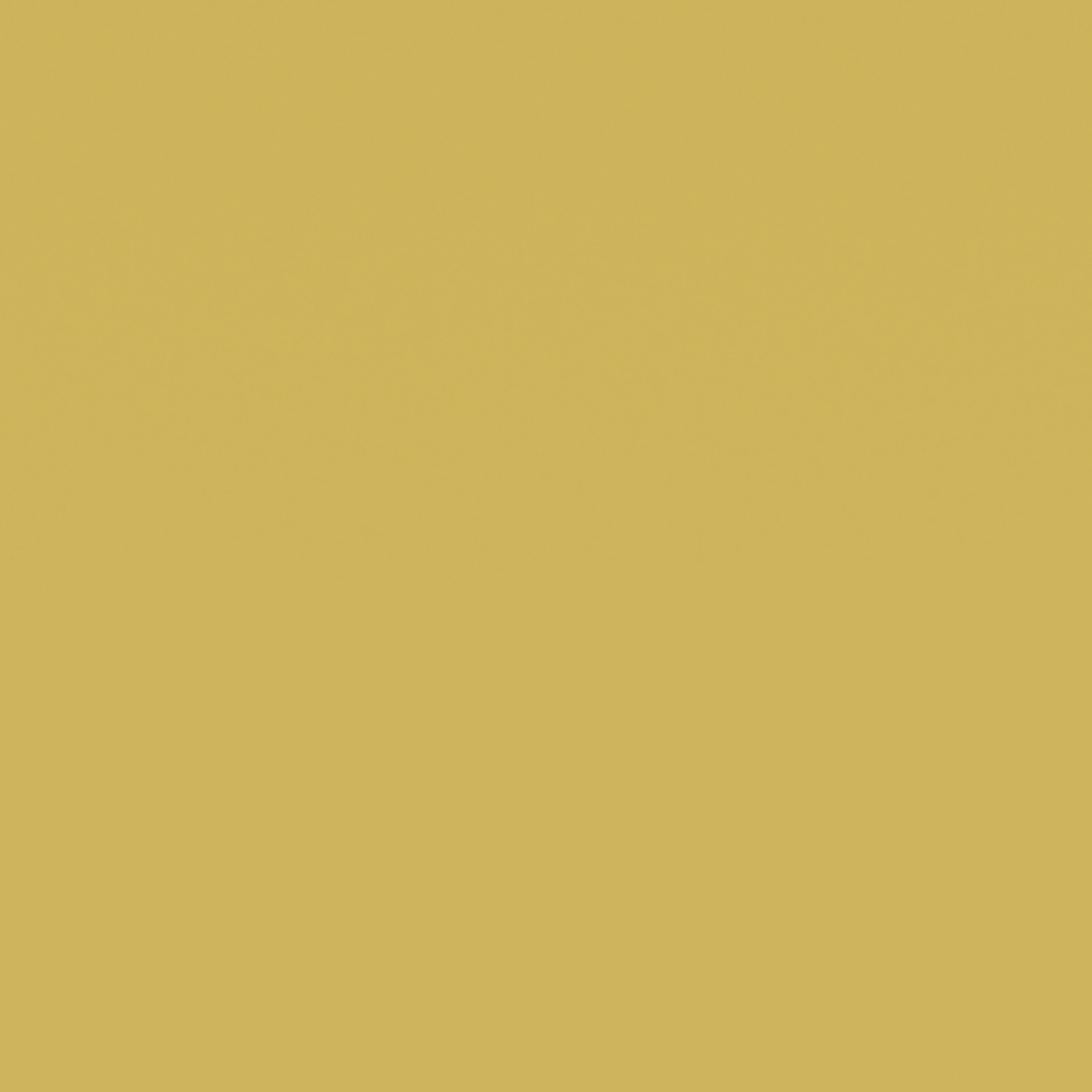 8276 - Magnetic Board Curry Matt (chalk)