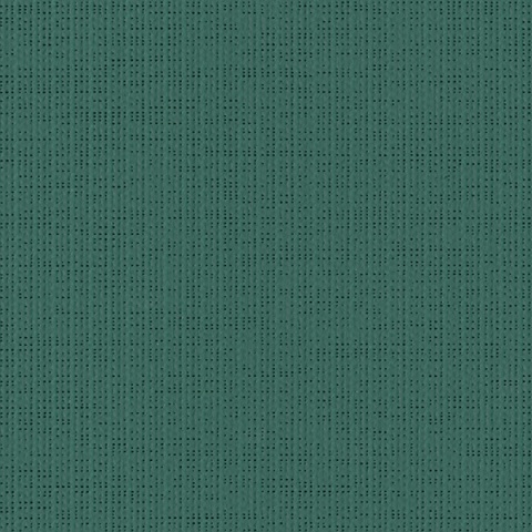 Toile screen SERGE FERRARI Soltis Perform 92-8056 vert tennis coloris