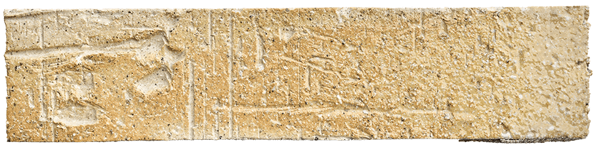 REMARQUABLE_TC-Transparent_Chenin