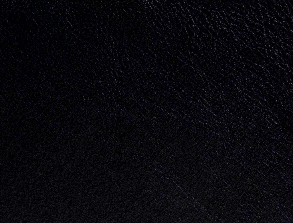 ElmosoftVIII_99999-1024x781-1