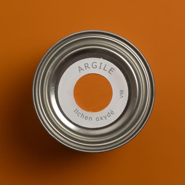 argile_peinture-tmvv48-teinte-lichen_oxyde-600_600