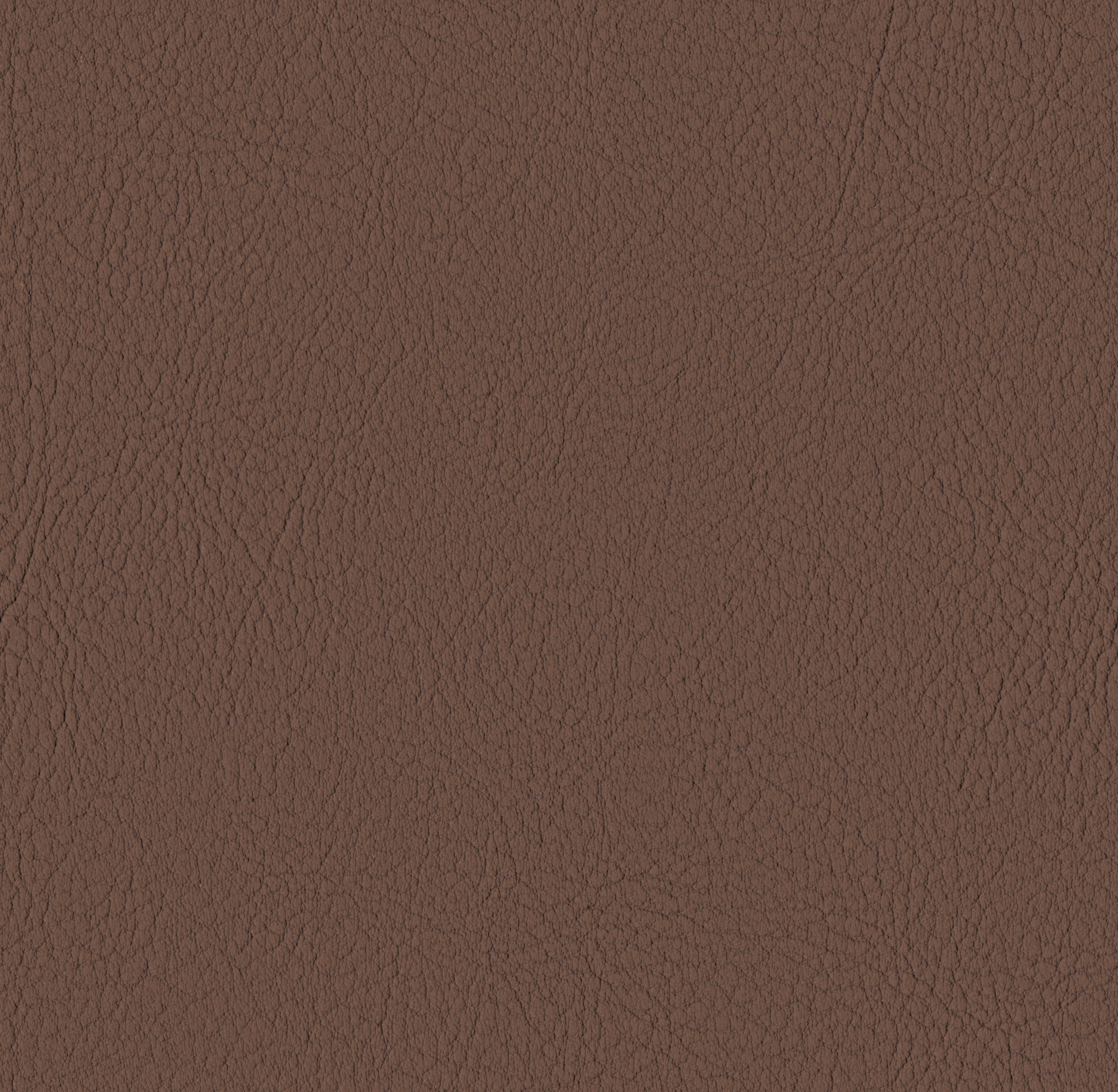 Tileable image - Buche