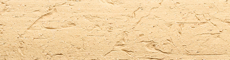 TCN_ECORCE_101-Antares